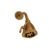 0842SHHD-GP Sherle Wagner International Acanthus Shower Head with Acanthus Flange in Gold Plate metal finish
